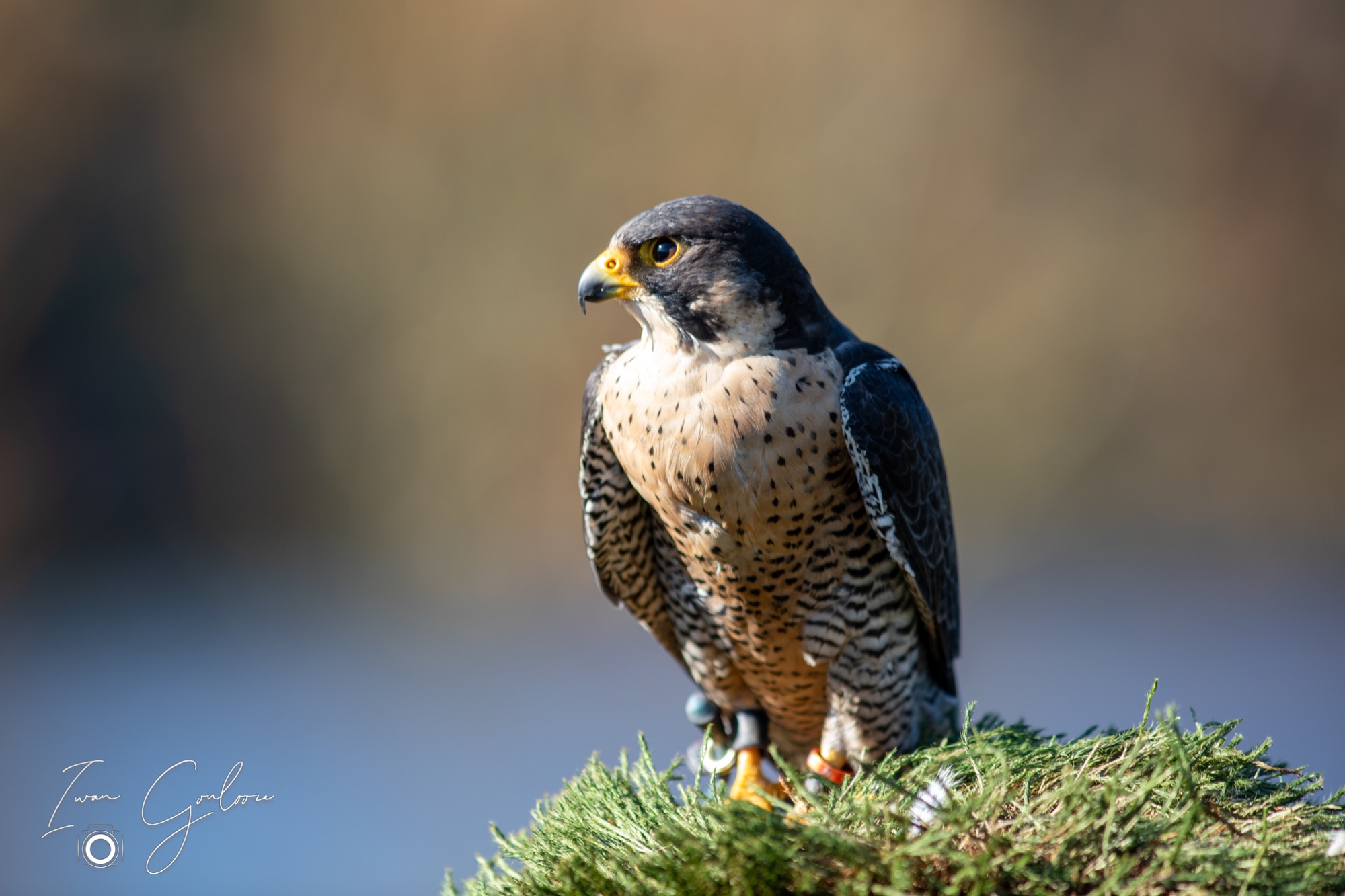 04 maart 2022 143958  5D44050